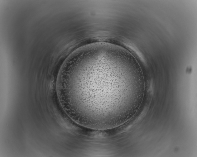 X0000094380073200711091611