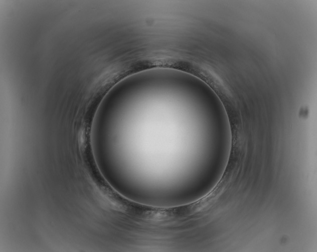 X0000094380074200711091611