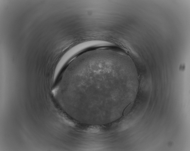 X0000094380076200711091611