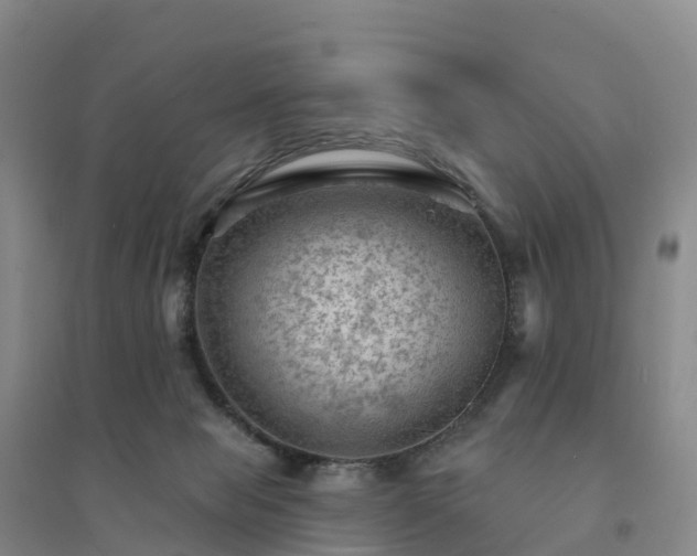 X0000094380077200711091611