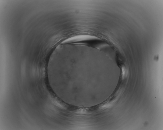 X0000094380080200711091611