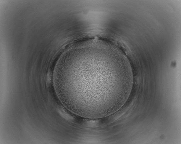 X0000094380081200711091611