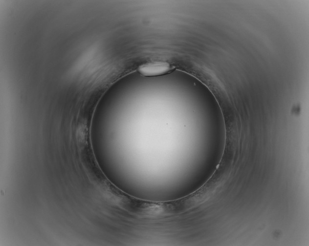 X0000094380083200711091611