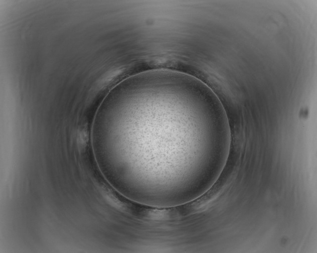 X0000094380085200711091611