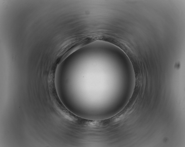 X0000094380092200711091611