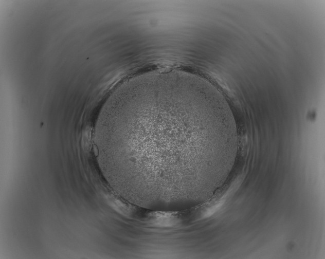 X0000094380093200711091611
