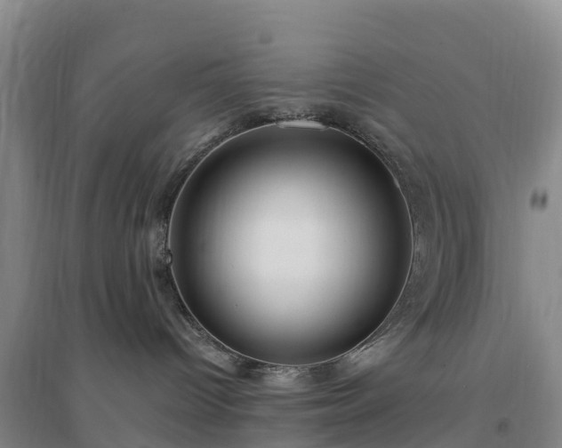 X0000094380096200711091611