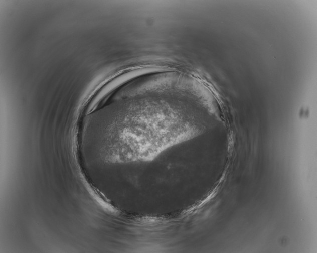 X0000094380101200711091610