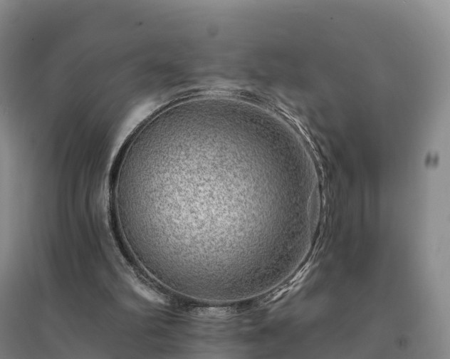 X0000094380102200711091610