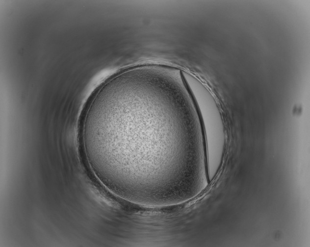 X0000094380104200711091610