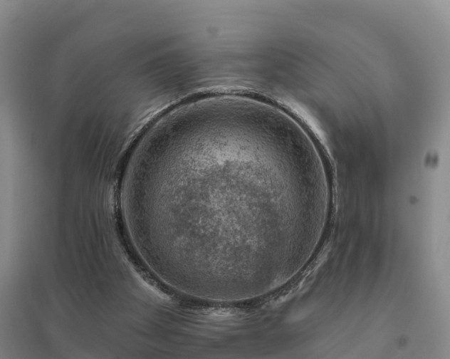 X0000094380105200711091610