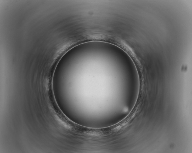 X0000094380106200711091610