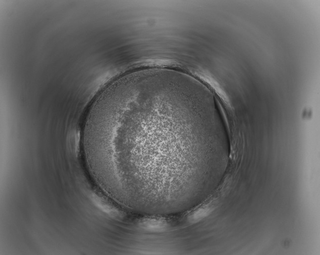 X0000094380110200711091610