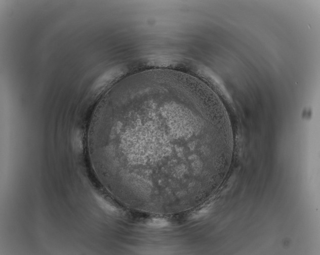 X0000094380114200711091610