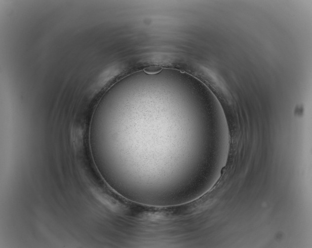 X0000094380120200711091610