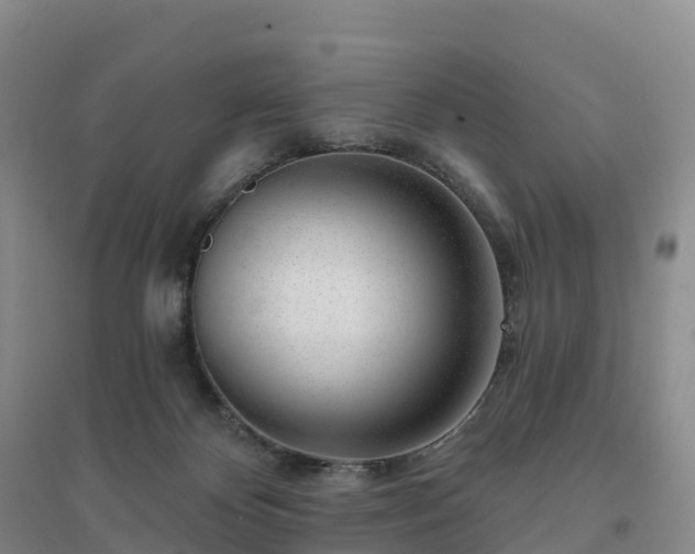 X0000094380124200711091610