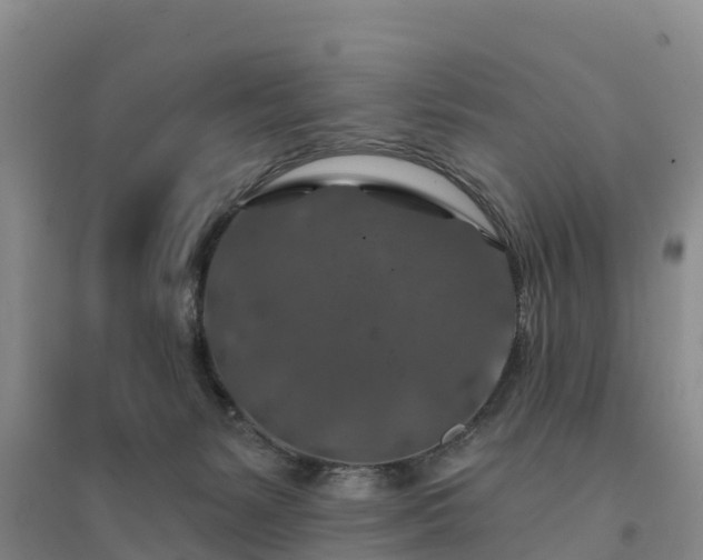 X0000094380127200711091610