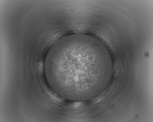 X0000094380130200711091610