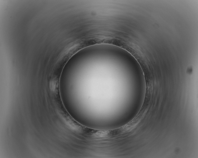 X0000094380138200711091610