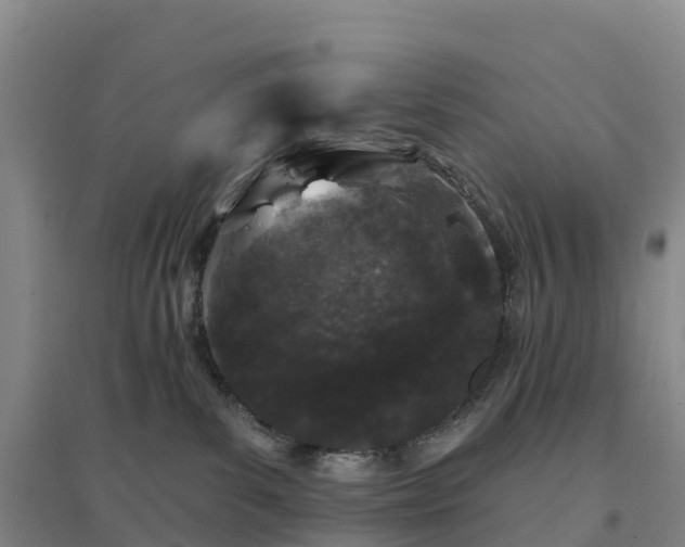 X0000094380139200711091610