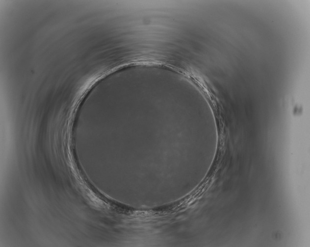 X0000094380145200711091609