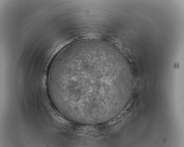 X0000094380146200711091609