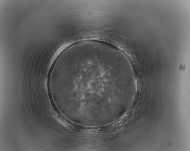 X0000094380147200711091609