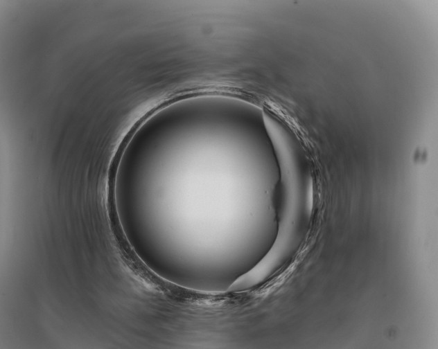 X0000094380148200711091609