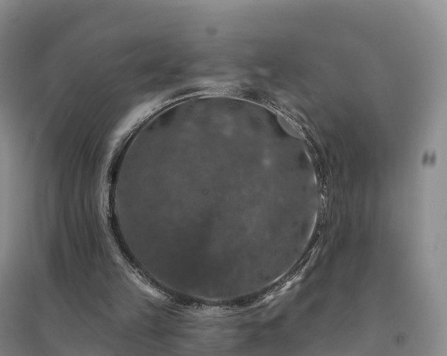 X0000094380149200711091609
