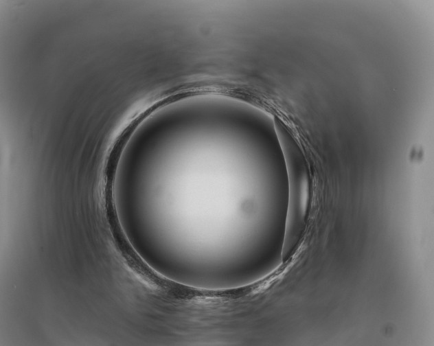 X0000094380150200711091609