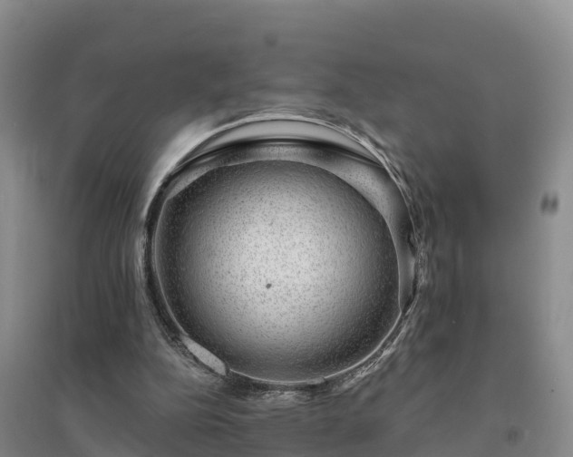 X0000094380152200711091609