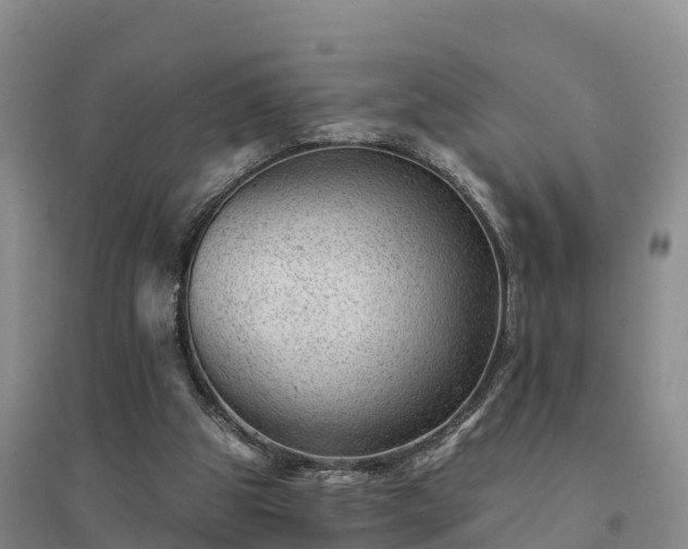 X0000094380153200711091609