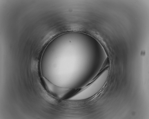 X0000094380154200711091609