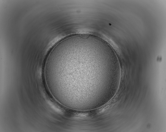 X0000094380155200711091609