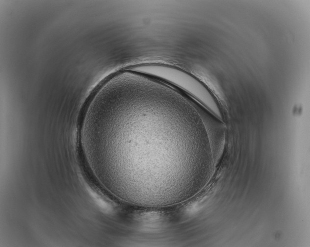 X0000094380156200711091609