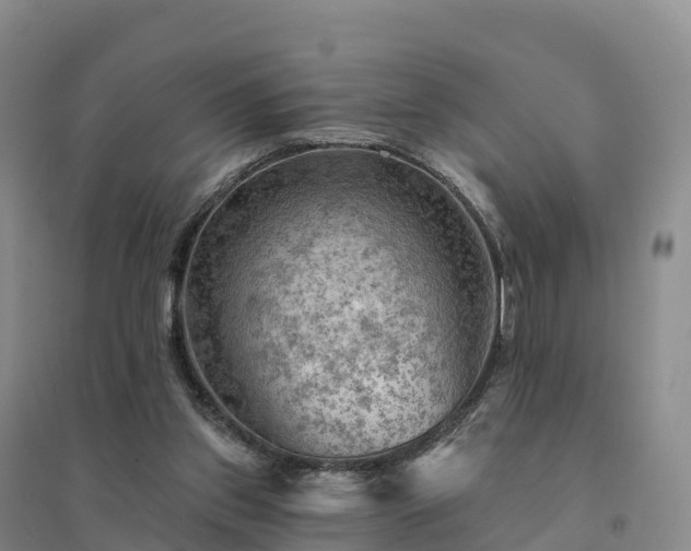 X0000094380157200711091609