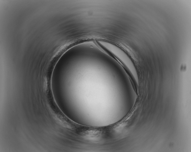 X0000094380158200711091609