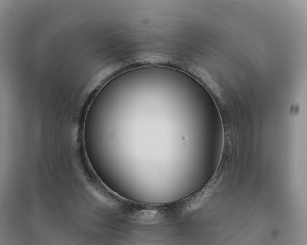 X0000094380159200711091609