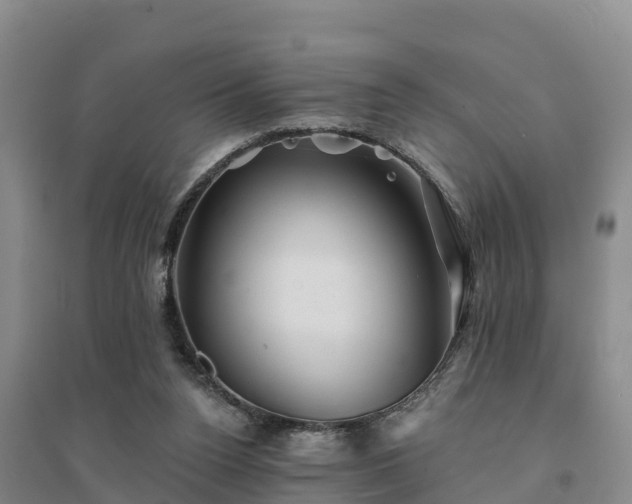 X0000094380160200711091609