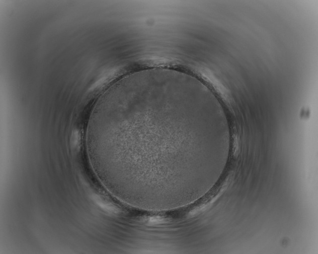 X0000094380165200711091609