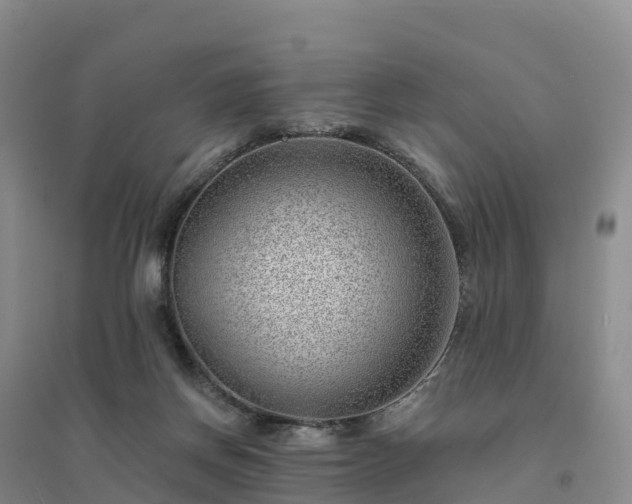 X0000094380166200711091609