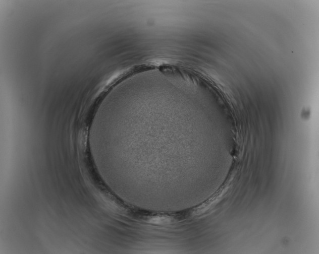 X0000094380168200711091609