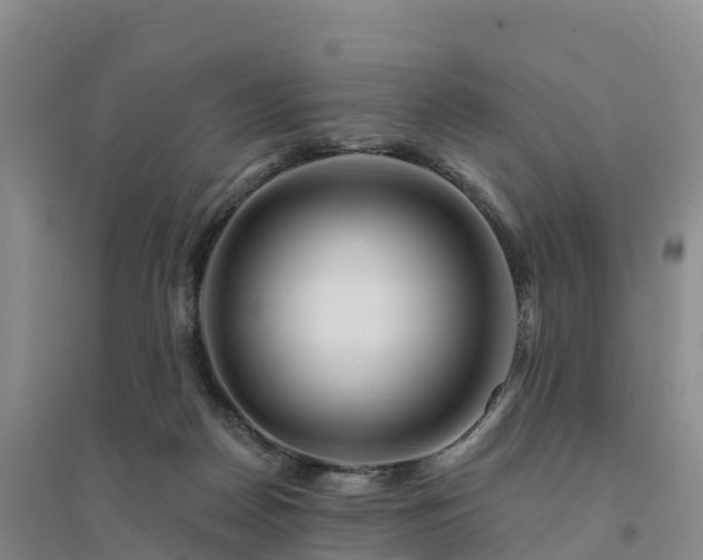 X0000094380170200711091609