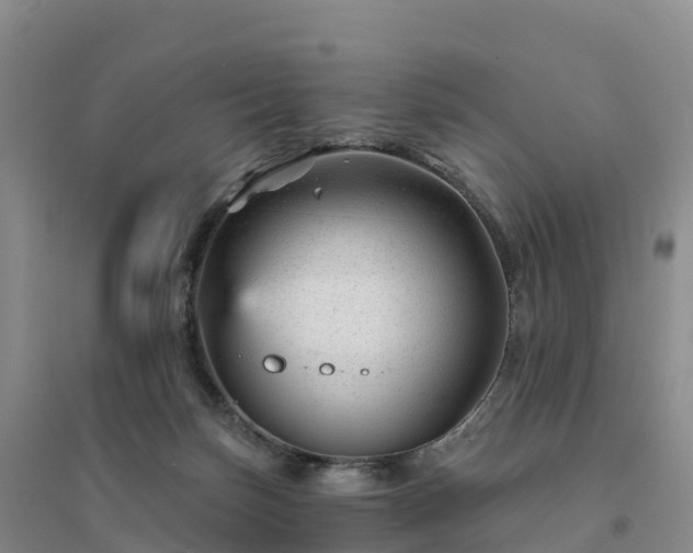 X0000094380171200711091609