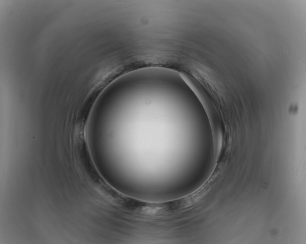 X0000094380172200711091609