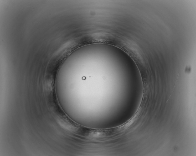 X0000094380174200711091609