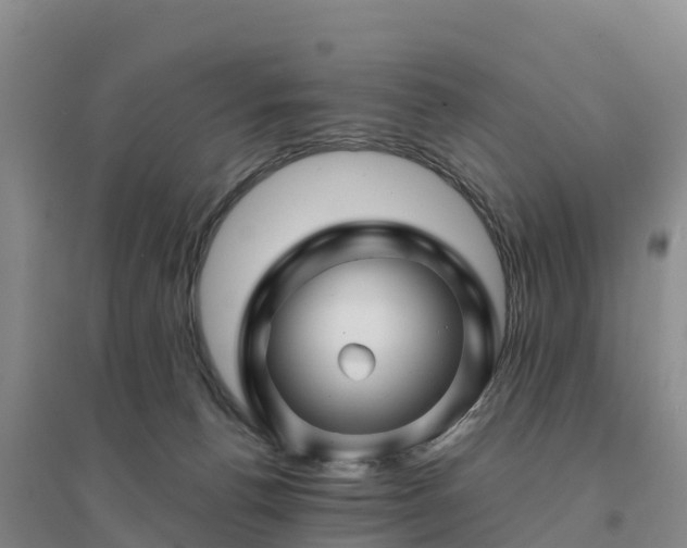 X0000094380176200711091609