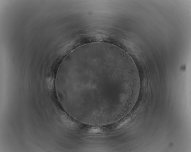 X0000094380177200711091609
