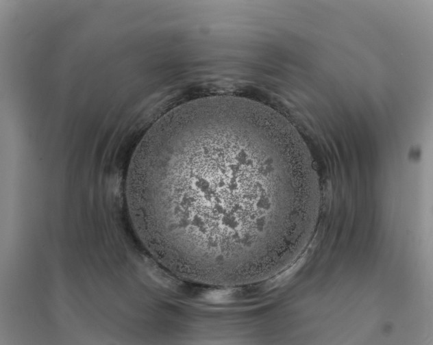 X0000094380178200711091609