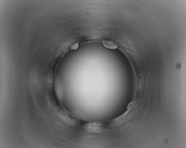 X0000094380179200711091609